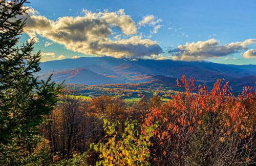 Scenic Sourbush - Photo 30