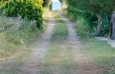 Dorothy's house - Foto 22