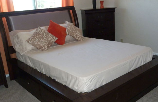 Taste of Paradise - Foto 6