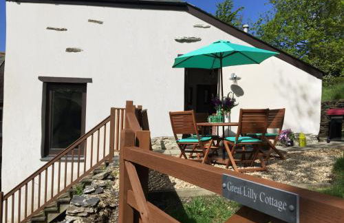 Great Lilly Cottage - Foto 14