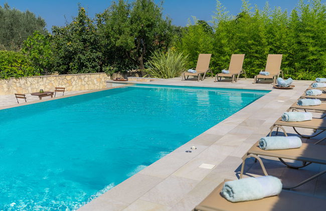 Salamander - Foto 28