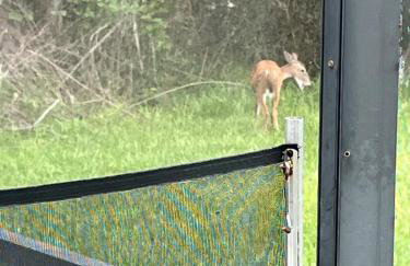 Home Away from Home - Foto 23