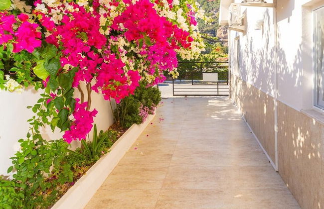 Villa Zonkdemir in Dalyan - Photo 30