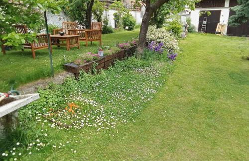 la maison des fleurs - Foto 5