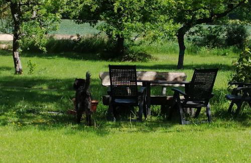 Forsthof Schlemmin - Foto 19