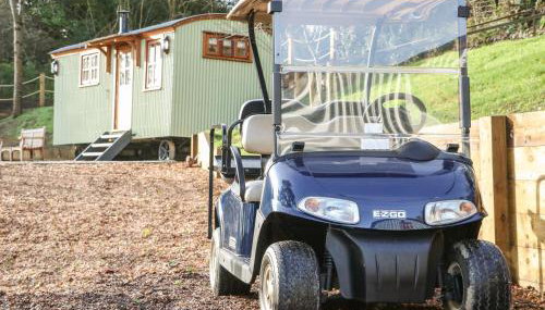 Little Silver Leaf - Foto 4