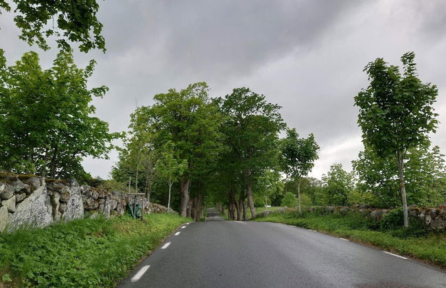 4 Person Holiday Home in Everod-by Traum - Foto 16