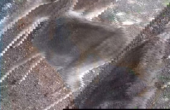 L'Oasi Agriturismo - Foto 13