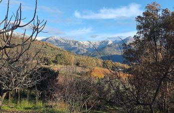 Casa Rural: La Casa Mágica de Gredos - Foto 65