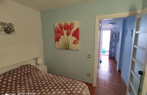 Apartamento Tossa - Foto 6