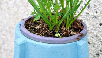 Criccieth 1 Bed Apartment Private patio Off Road Parking - Foto 5, Garden