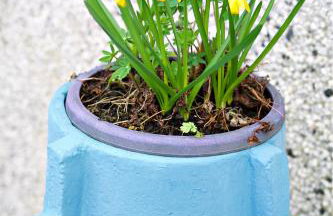 Criccieth- STUDIO GLAN ERIN BACH - Foto 5