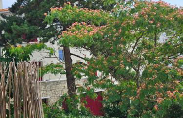 Appartement de charme , Royan, proche mer avec balcon. - Foto 12