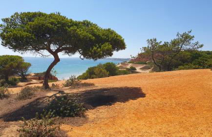 Villa Falésia casa da Sobreira - Foto 42