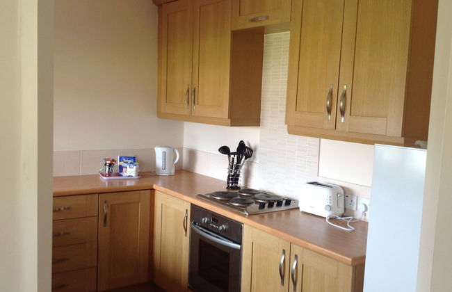 Pretty Properties Tillage Green - Foto 6