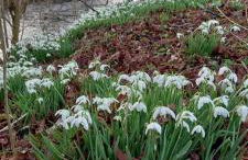 1 Barge Cottage - Foto 30