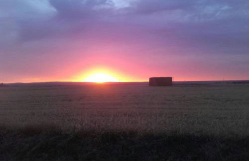 El Carro del Abuelo - Foto 42