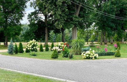 Agroturystyka Pod Jodłami - Foto 16