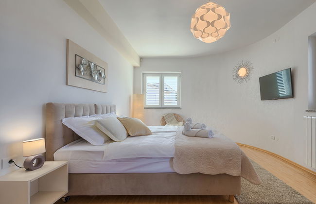 Salamander - Foto 40