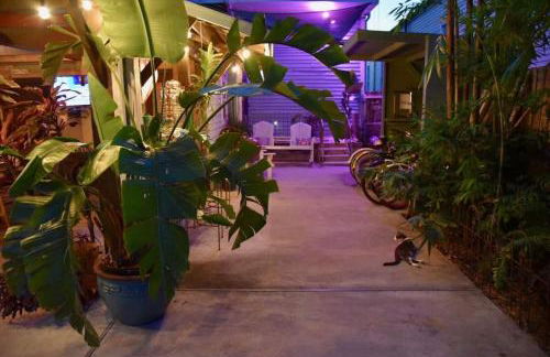 Dragonfly Tremé-Unique - Historic-Heated Salt Pool - Foto 31