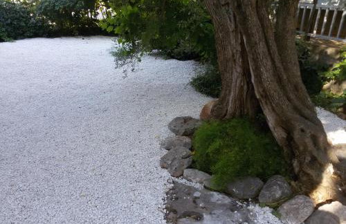 Olive Garden Apartments - Photo 40