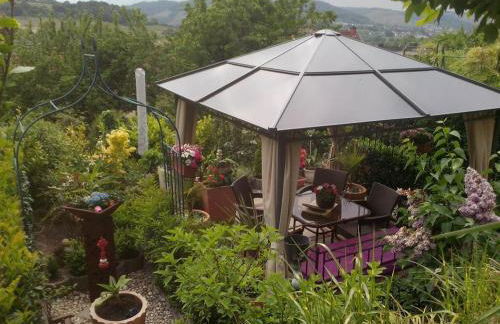 Weinberg-Oase - Foto 8