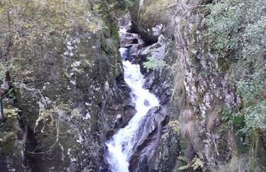 Lugar da Borralheira - Foto 30