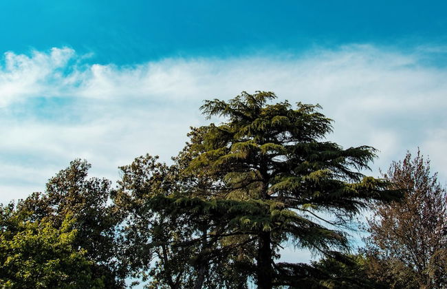 Villa Solatia - Foto 31