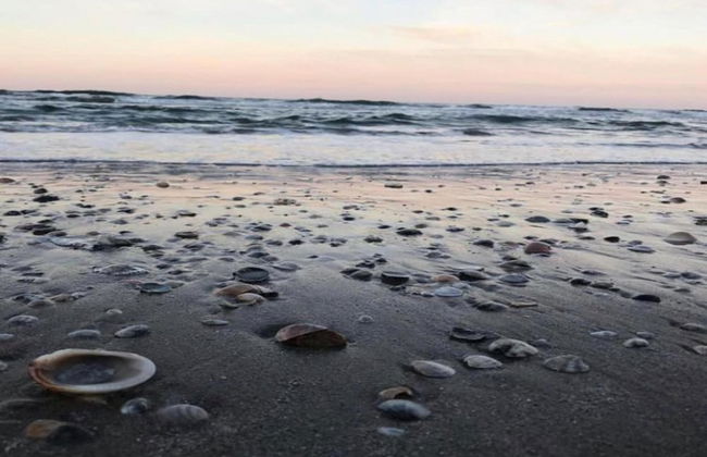 Lovely Holiday Home in Monte Colombo on Farm - Foto 78