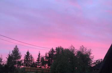 Wiejski Zakątek nad Wigrami - Foto 53