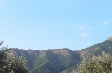 Lucia's Home - Foto 28