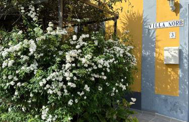 Casa Norb Teror - Foto 5