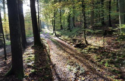 Ferienwohnung Fornsbachblick - Foto 28