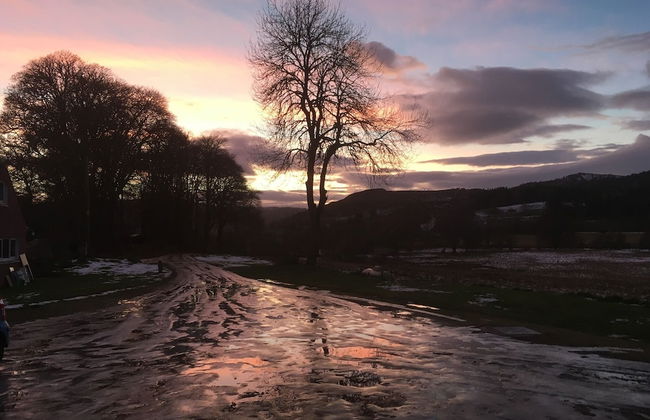 Beautiful Highland 1-bed Cottage - Foto 1