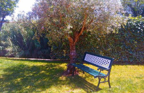 Carregã Water mill - Foto 51