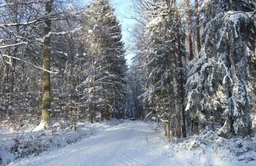 Ferienwohnung Bockelt - Foto 12