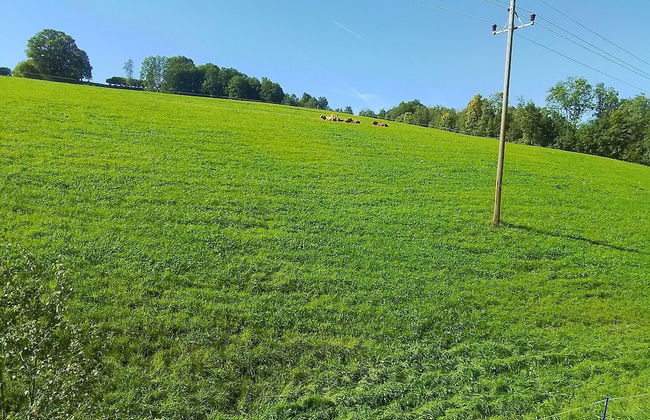 Voluminous Apartment near Ski Slopes in Maria Alm - Foto 41