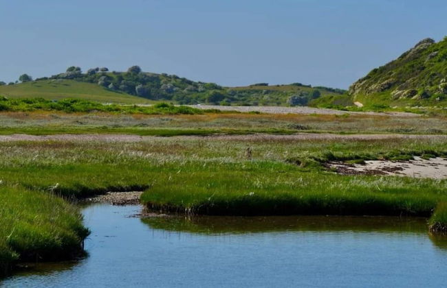 6 Person Holiday Home in Martofte - Foto 32