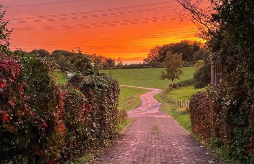 Molehill Shire - Foto 32