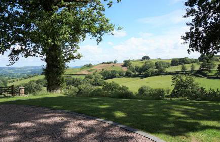 Little Acorn - Luxury shepherd's hut / lodge with private hot tub and garden - Foto 13