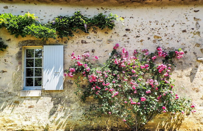 Holiday Home in Saint-laurent-de-la-salle With Pool - Foto 96
