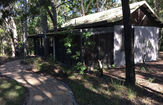 Byron Bay Rainforest Resort - Photo 5