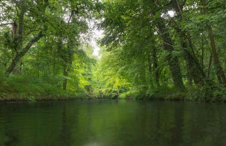 Spreewaldhaus zum Schoberplatz - Foto 73