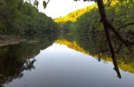 Gîtes LES Fougeres DU LAC - Foto 25