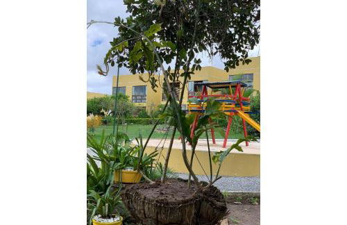 flat em serra negra - bezerros - Foto 69