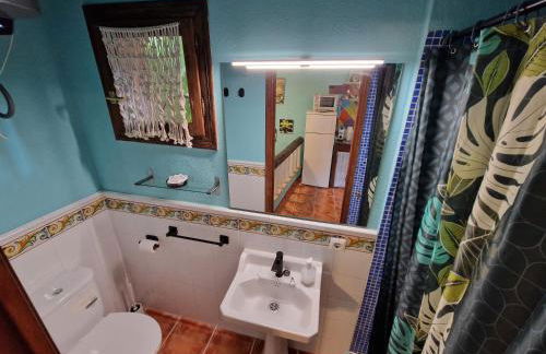 Lo Racó de Peret - Foto 59