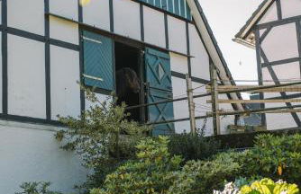 Ferienhaus Fichtenhütte - Foto 51