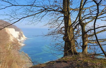 Ferienwohnung Stein - Foto 11