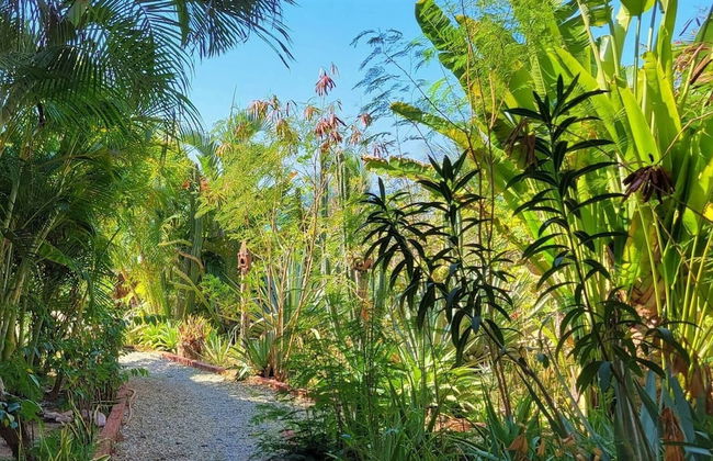 Close To Puerto Escondido Beachfront - Casa Wahaka - Foto 25