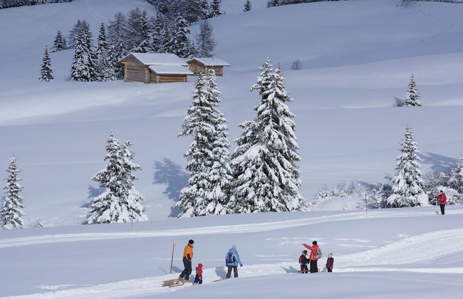 Mountain Residence CLARA - Photo 34